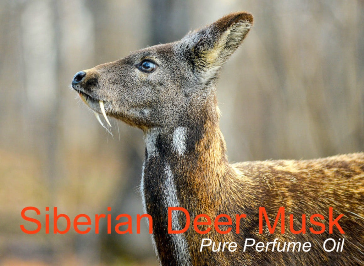 Deer Musk Oil Tincture - Siberian Pure Deer Musk Tinctures