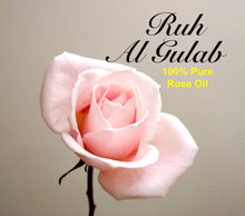 Load image into Gallery viewer, Rose “Ruh Al Gulab” - Premium Indian Rose